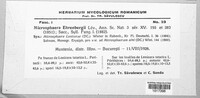Erysiphe ehrenbergii image